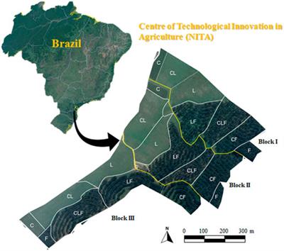 Soil Structural Quality and Relationships With Root Properties in Single and Integrated Farming Systems